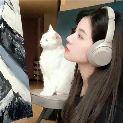 我老死苏怡